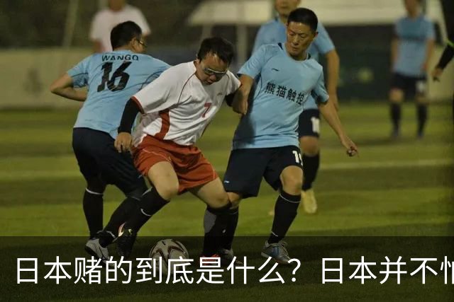 日本赌的到底是什么？日本并不怕中国制裁，也不怕经济下滑、航班取消；它压根不是在赌，而是早已把最坏的结果都盘算了一遍