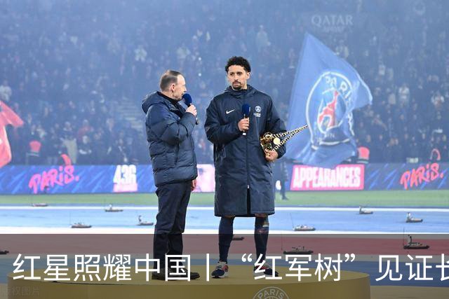 红星照耀中国丨“红军树”见证长征路